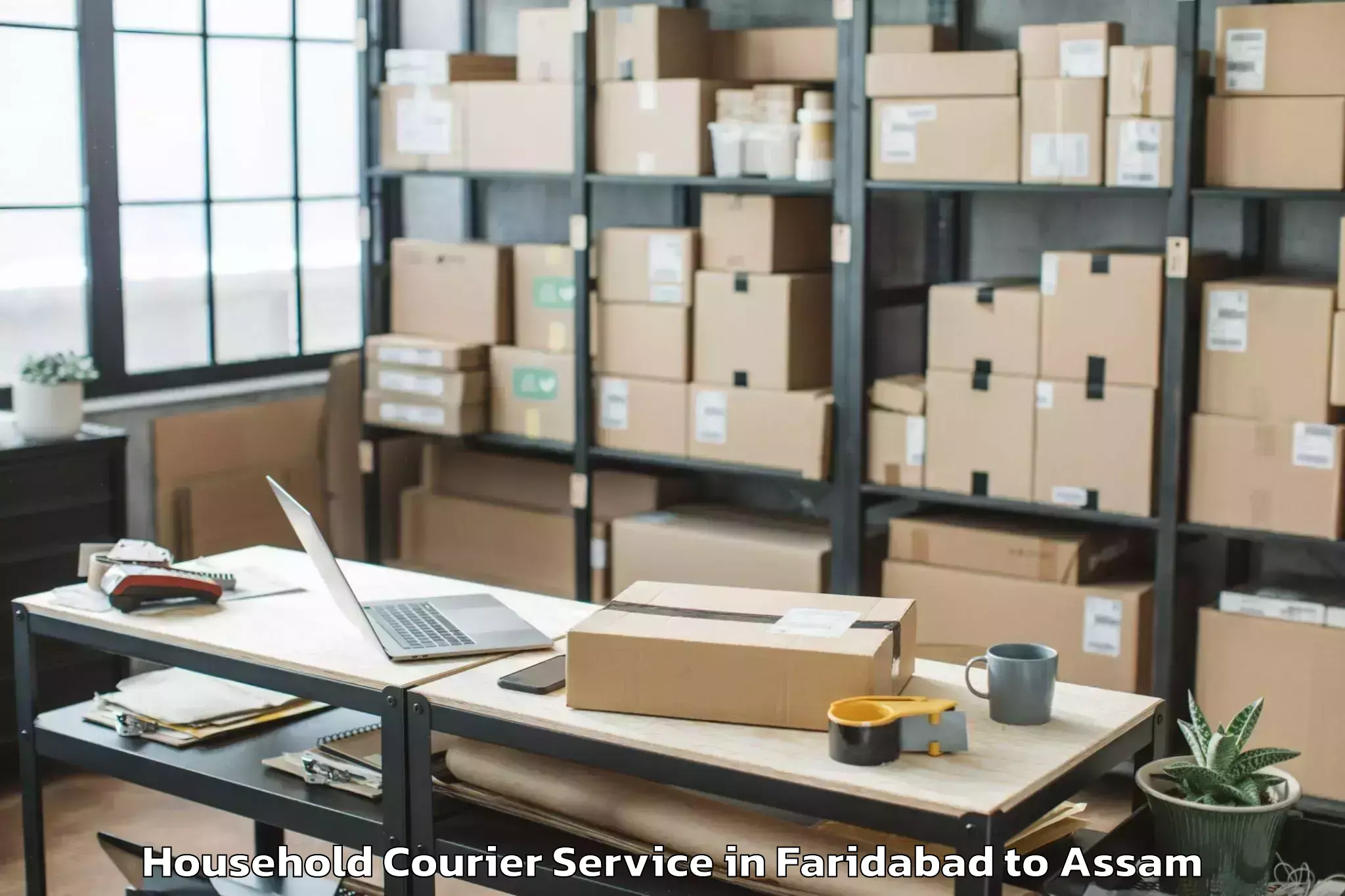 Efficient Faridabad to Samaguri Household Courier